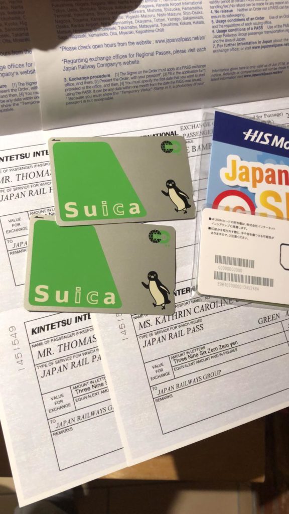 Japanreise, JapanRailPass, Zugfahren in Japan, Suica Karte, Wie reist man in Japan, Traveldiary 