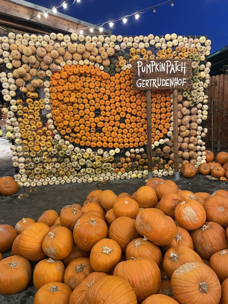 Pumpkin Patch Gertrudenhof 